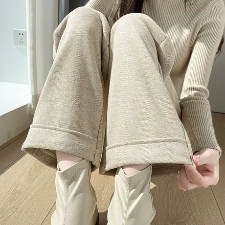 九分毛呢窄版阔腿裤女冬季新款高腰显瘦宽松加厚羊绒小个子直筒裤图片