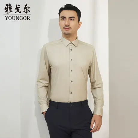 【商场同款】雅戈尔男士长袖衬衫春季新款官方商务休闲男衬S3684图片