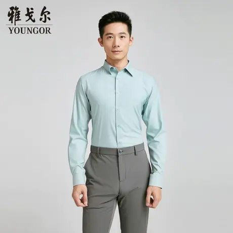 【商场同款】雅戈尔男士长袖衬衫新款官方商务休闲上班穿衬衫男图片