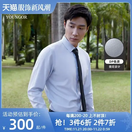 【100支TNDP】雅戈尔春秋新品男士商务休闲免烫装衬长袖衬衫男图片