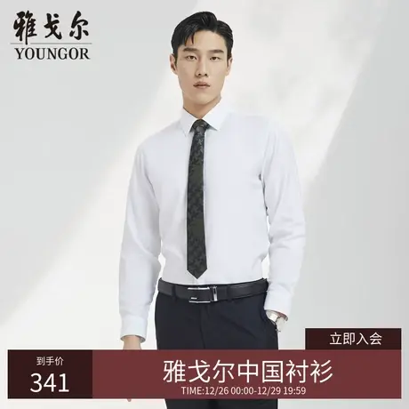 【凉感衬衫】D系雅戈尔衬衫春季商务休闲棉弹DP免烫长袖衬衫图片