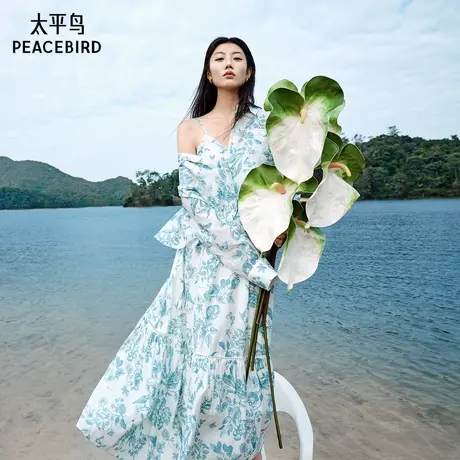 【商场同款】太平鸟2025夏新款Daria Song联名连衣裙A1FAF2481图片