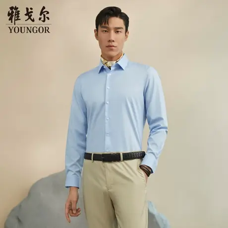 【隐条纹DP免烫】雅戈尔官方商务休闲纯棉长袖衬衫男4578图片