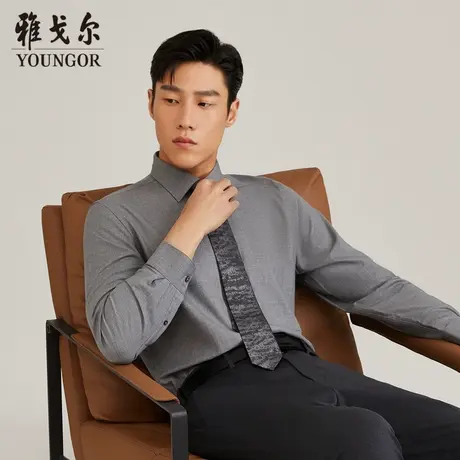 【可机洗羊毛】TP系雅戈尔衬衫冬季商务休闲保暖羊毛长袖衬衫商品大图