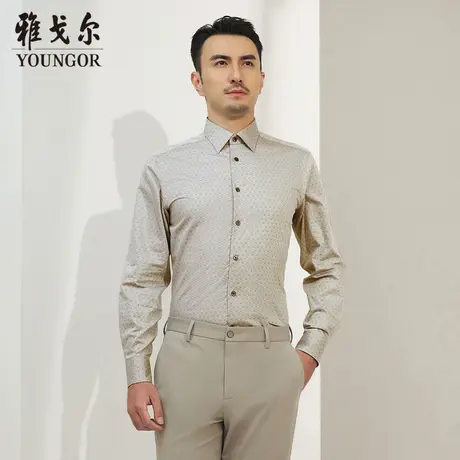 【柔软易打理】D系雅戈尔衬衫秋季新款免烫商务休闲长袖衬衫商品大图