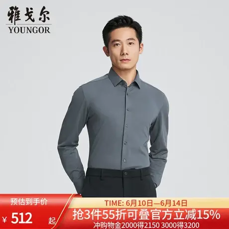 【商场同款】雅戈尔男士长袖衬衫春秋新款官方商务休闲长袖衬衫男图片