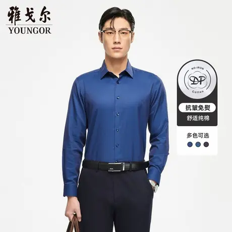 雅戈尔奥莱 男装长袖衬衫秋季商务休闲纯棉免烫修身衬衫男商品大图