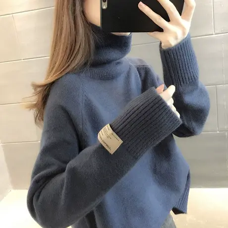 毛衣2024新款春秋季春款春装女士高领加绒女装宽松外穿打底衫洋气图片