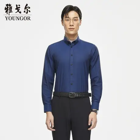 【DP免烫】D系雅戈尔衬衫秋季商务休闲纯棉免烫柔软修身长袖衬衫图片