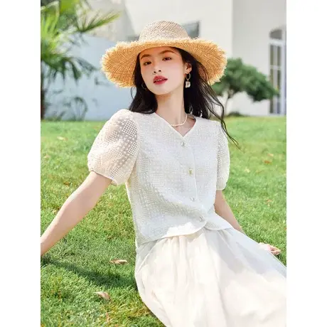 时尚气质V领短袖衬衫2023年夏季新款淑女温柔刺绣显瘦通勤上衣图片