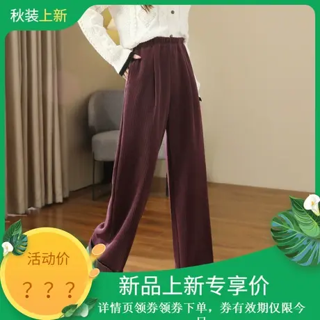 时尚气质加厚宽松休闲裤女士2023年冬季新款显瘦通勤百搭长裤图片