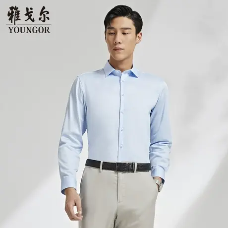 【柔软易打理】V系雅戈尔衬衫秋季新款免烫商务休闲长袖衬衫商品大图