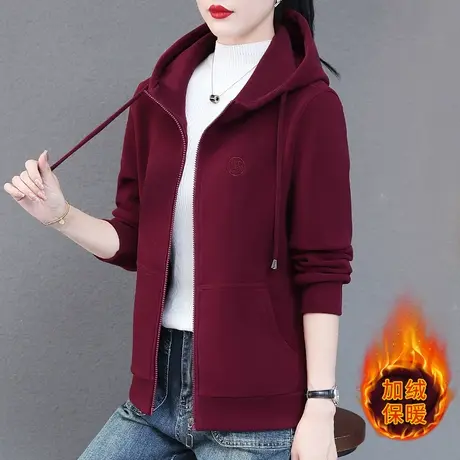 连帽加厚沐丝绒卫衣外套女秋冬2023年新款时尚百搭拉链上衣休闲服图片
