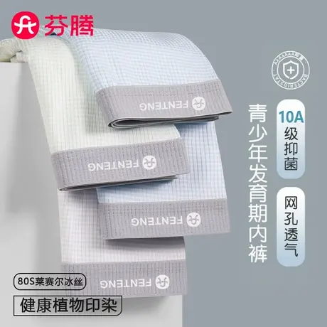 芬腾青少年冰丝内裤男童发育期初高中学生蚕丝抗菌裆男生平角短裤图片