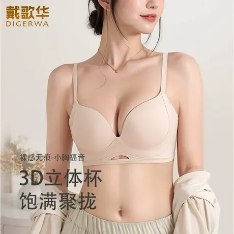 秋冬新品戴歌华小胸聚拢无痕3D立体杯内衣女无钢圈软支撑文胸厚款图片