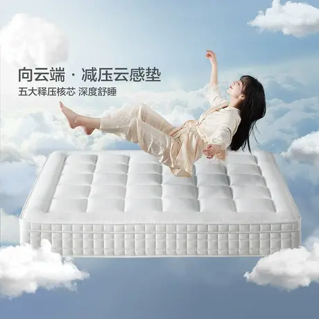 政府补贴全友家私乳胶床垫五区独袋弹簧床垫软硬两面云感舒适床垫图片