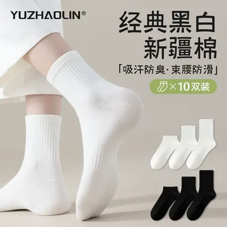 袜子女中筒袜夏季薄款纯棉无骨运动防臭短袜情侣款春秋长筒袜男士图片