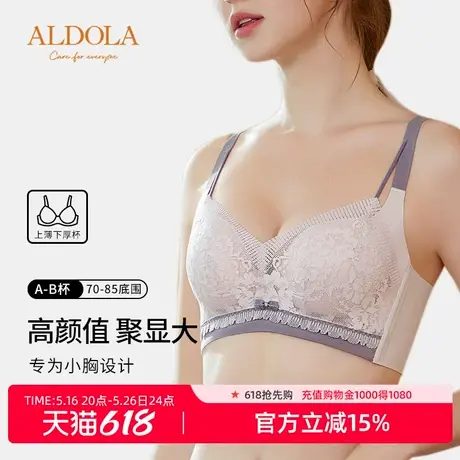 雅黛丽内衣女小胸聚拢显大上托防下垂无钢圈调整型性感文胸罩图片