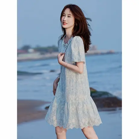 时尚气质短袖连衣裙2025年夏季新款女刺绣重工温柔甜美中长款裙图片