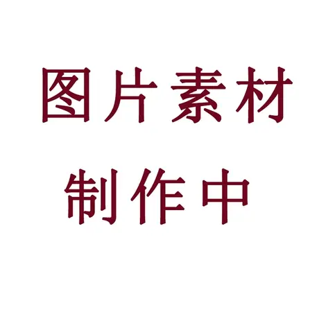 小胸内衣女无痕聚拢提拉上托防下垂胸罩舒适无钢圈收副乳文胸套装商品大图