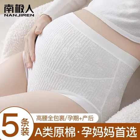 南极人孕妇内裤女纯棉抗菌怀孕早中晚期产后专用大码高腰托腹短裤图片
