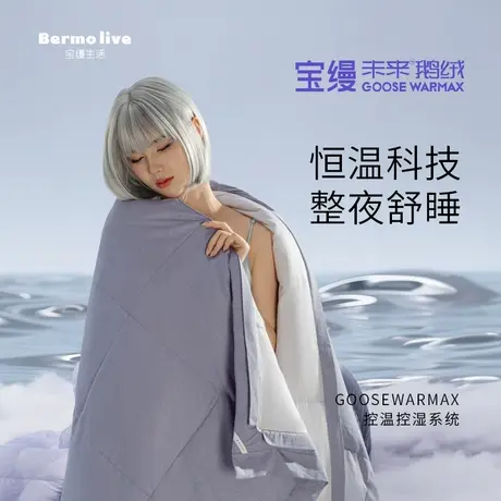 宝缦蚕丝羽绒被多合一子母被俄罗斯进口白鹅绒保暖加厚四季被冬图片