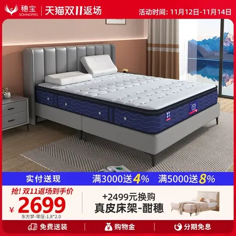 穗宝整网弹簧3D椰棕适中偏硬席梦思22cm护脊床垫 东方梦棕眠零压图片