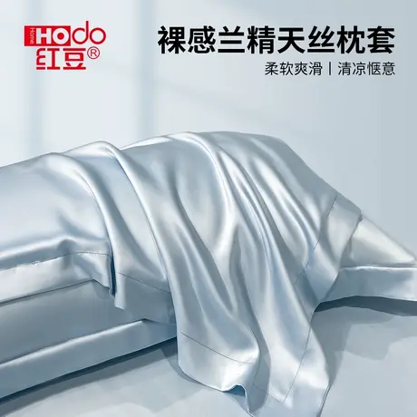 红豆兰精天丝枕套夏季凉感冰丝宽边枕头套夏凉一对装48x74cm轻奢图片