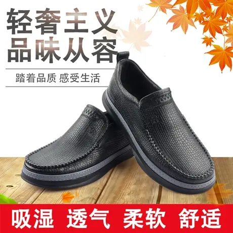 Camel/骆驼2021秋季新品羊皮时尚商务休闲透气轻质男鞋A213155031图片