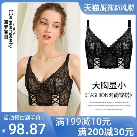 女士法式夏季大胸显小薄款侧收副乳聚拢超薄文胸软钢圈调整型内衣商品大图
