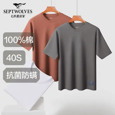 七匹狼短袖T恤男士2025新款纯棉夏季100%全棉体恤薄款宽松汗衫男图片