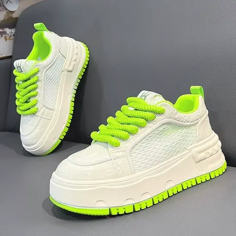 潮骑H1图片