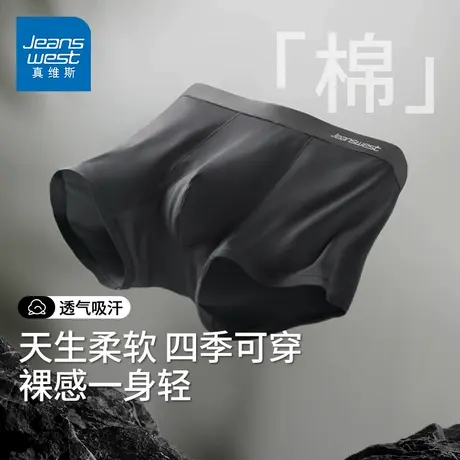 GV真维斯男士内裤抗菌纯棉透气裆男装四角短裤头正品2025新款K图片