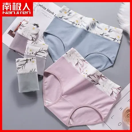 南极人女士内裤全棉裆纯棉抗菌胖mm收腹提臀秋冬高腰大码短裤头TX图片