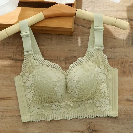 侧收副乳调整型内衣女士小胸罩聚拢防下垂文胸五排扣品牌专柜正品商品大图