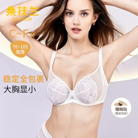 【抱抱杯】桑扶兰超薄款大胸显小全罩杯大杯文胸聚拢蕾丝内衣女商品大图
