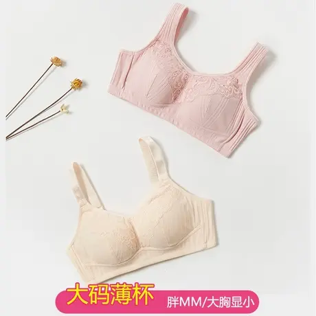 少女文胸高中生大胸显小无钢圈调整型聚拢防下垂收副乳上托胖学生图片