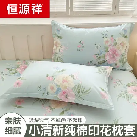 恒源祥纯棉小清新枕套一对装单只家用枕头套48x74cm全棉枕芯内胆商品大图