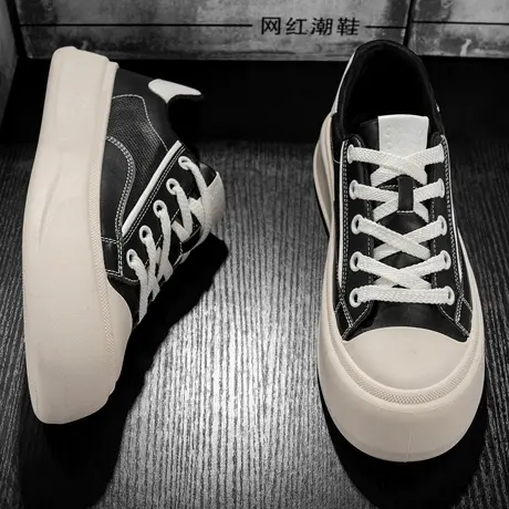 潮骑H1图片