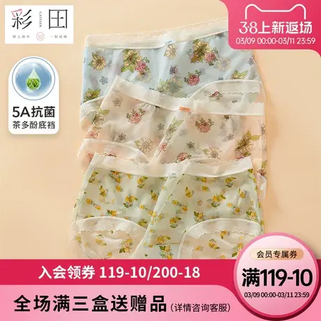 彩田2023夏季新款印花轻薄透气茶多酚抗菌底裆蕾丝女士中腰三角裤图片