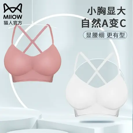 猫人漫画外扩胸型内衣收副乳防下垂小胸聚拢显大无钢圈美背文胸罩商品大图