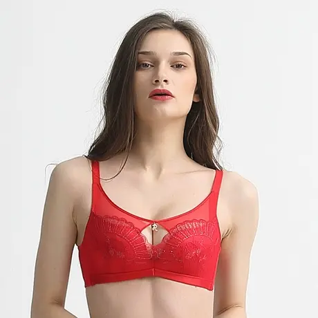 浪漫春天内衣女小胸聚拢中厚无钢圈上托收副乳性感蕾丝调整型文胸图片