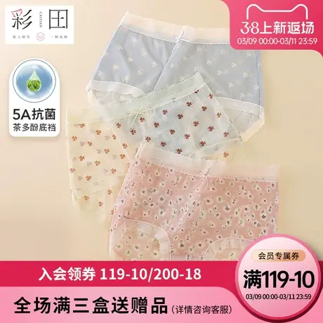 彩田内裤夏季网纱透气印花蝴蝶结茶多酚抗菌底裆女士中腰三角内裤图片