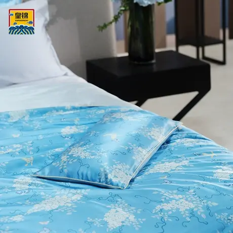 爱慕皇锦印花双人蚕丝被-九重紫（500g）HJ11870图片