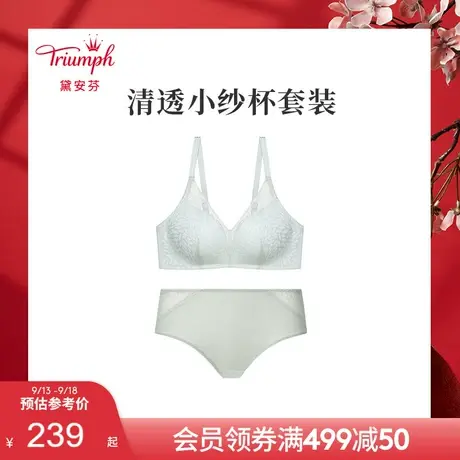 Triumph/黛安芬清透小纱杯蕾丝薄款文胸内裤套装E004049/E004046图片