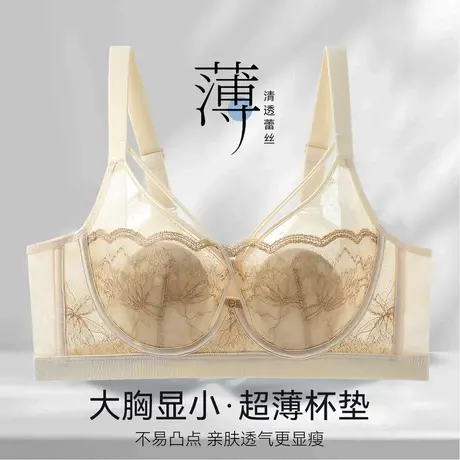 【兔耳朵法式蕾丝】纯欲性感内衣聚拢显瘦薄收副乳大胸显小文胸女图片
