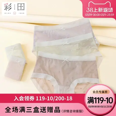 彩田女士夏季新款高透蕾丝轻薄丝滑柔软蝴蝶结茶多酚抗菌裆三角裤图片