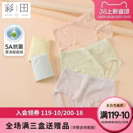 彩田内裤女夏季新款中腰蕾丝提花蝴蝶结茶多酚抗菌底裆女士三角裤图片