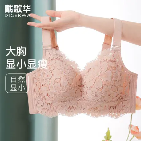 戴歌华女士内衣大胸显小胸无钢圈收副乳显瘦调整型内衣女薄款文胸商品大图