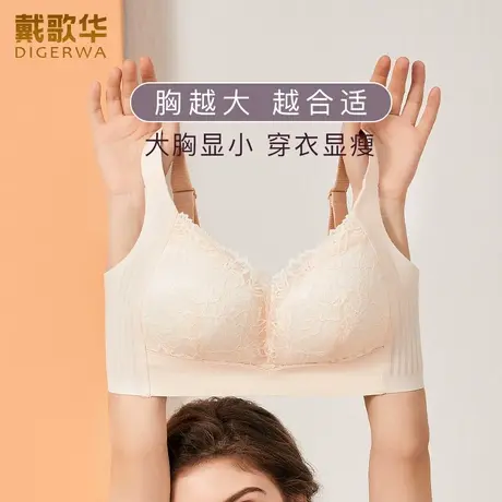 戴歌华3D果冻条软支撑内衣女大胸显小胸大码薄款全罩杯收副乳文胸商品大图